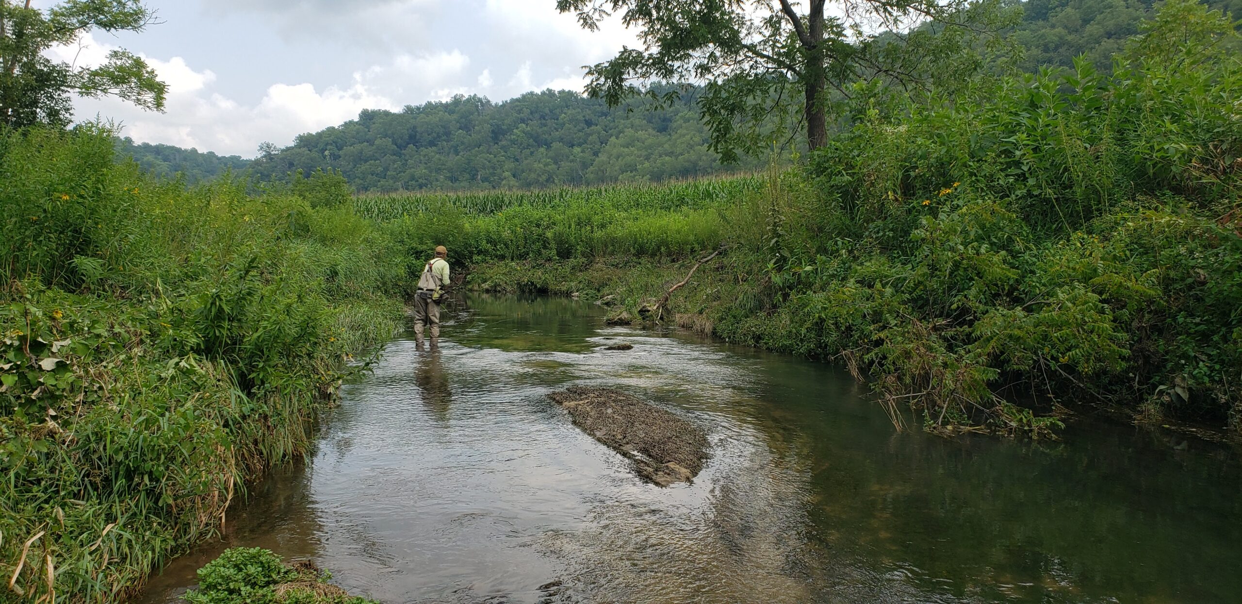 Fly-fishing the Driftless